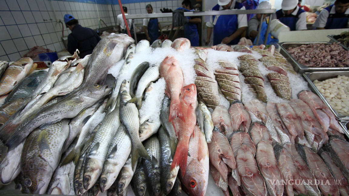 En México dan 'gato por pescado', engañan sustituyendo con especies más baratas