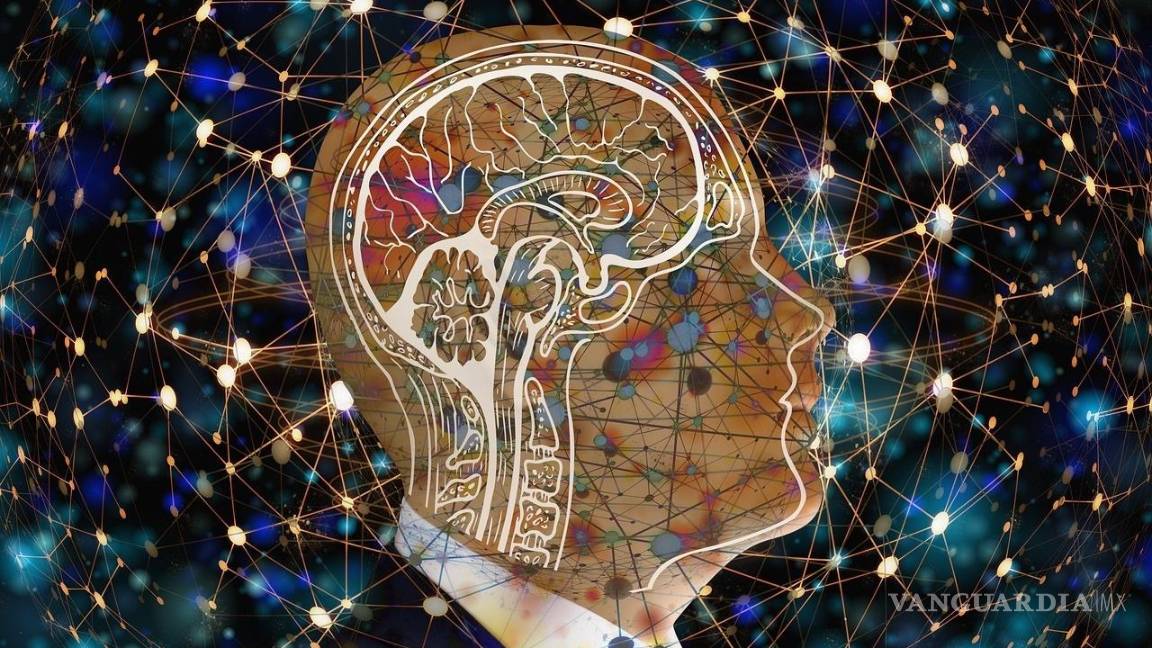 $!“Seremos capaces de entender mejor cómo el cerebro se desarrolla, envejece y sufre enfermedades”, dijo Joseph Ecker