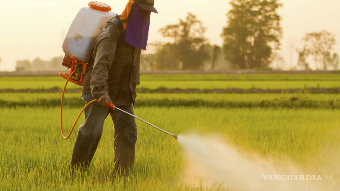 La ONU adopta límites para los residuos de 31 pesticidas en alimentos