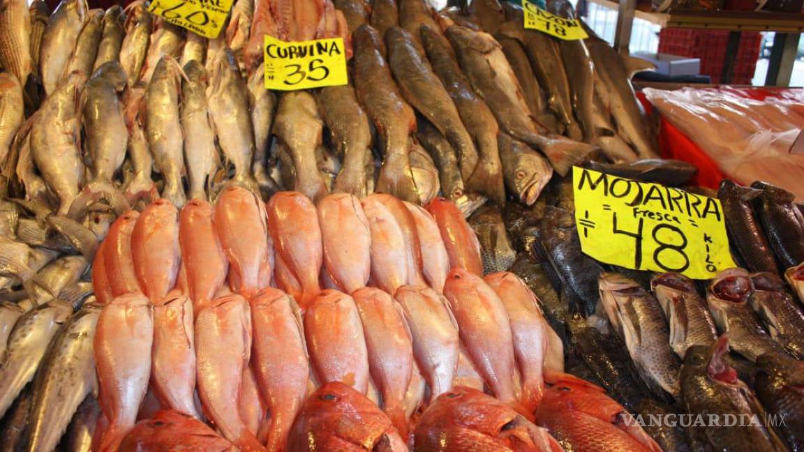Es ilegal el 50% de productos de origen pesquero en México