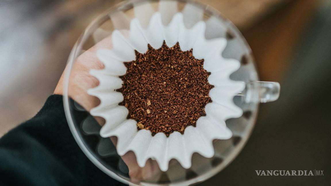 $!El olor del café fresco puede actuar como un repelente natural para algunos animales.