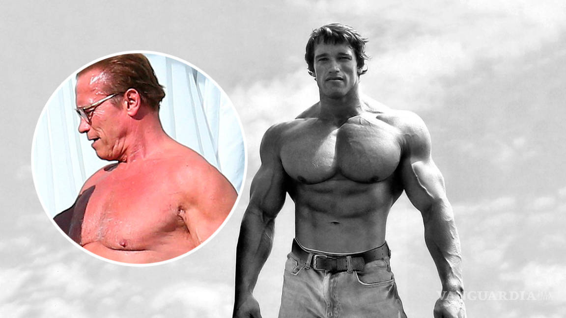 &quot;Cuando me miro en el espejo, vomito&quot;: Arnold Schwarzenegger sobre su cuerpo