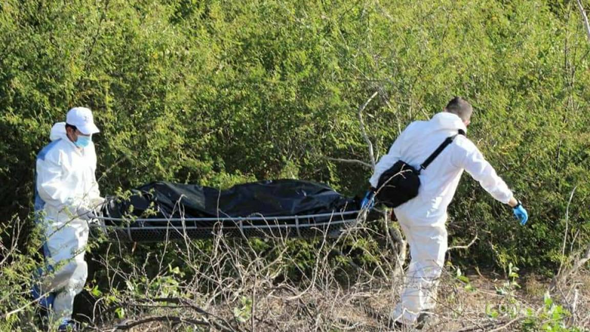 Encuentran cuerpo calcinado de mujer entre cultivos de Culiacán