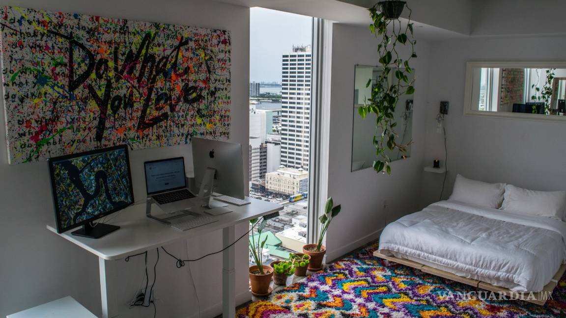 $!¡Duraderas y fáciles de cuidar! Las mejores plantas para decorar el baño, la cocina y hasta la recámara