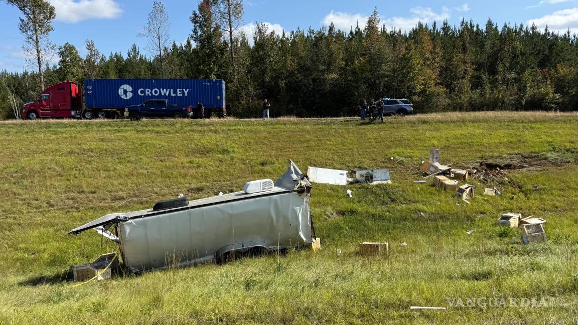 $!El camión volcado que transportaba varios monos, el martes 28 de octubre de 2025, en Heidelberg, Misisipi.