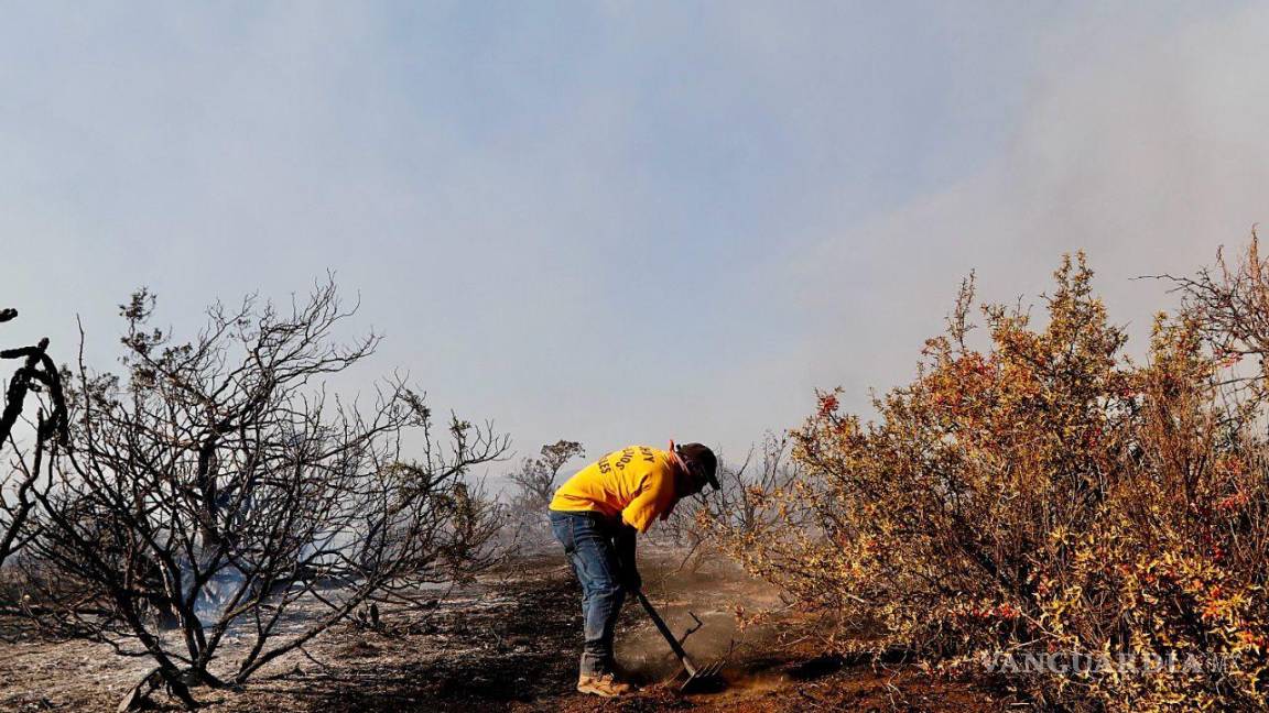 ¡No enciendas fogatas en zonas boscosas! Llama Municipio de Saltillo a evitar incendios forestales