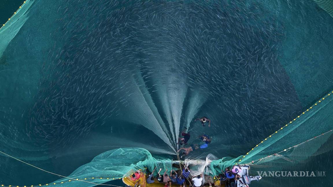 $!Pescadoras y pescadores recogen una red ante la costa de Chuao, Venezuela, el 7 de junio de 2023.