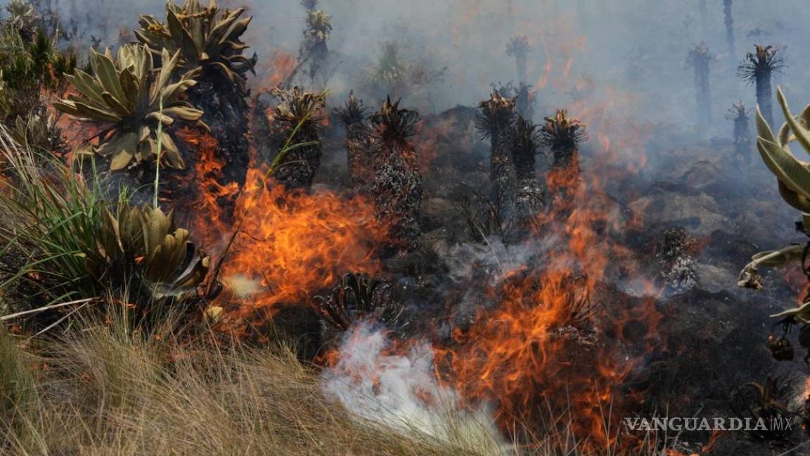 Azota a Ecuador el peor incendio forestal de los últimos 10 años; la causa, la quema agrícola