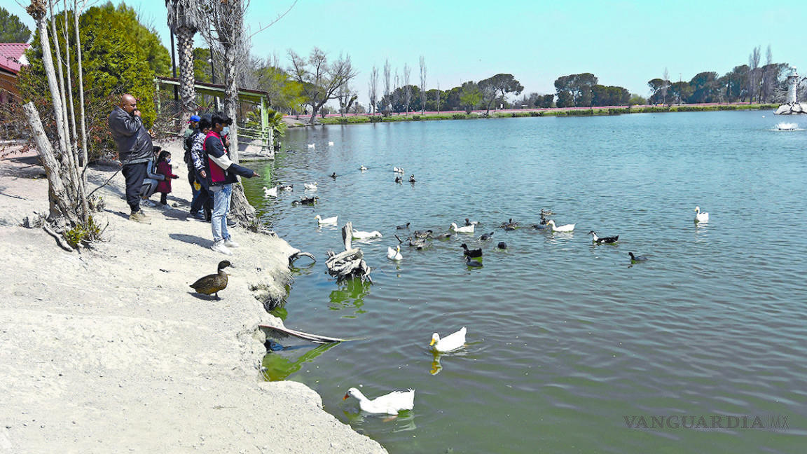 Más de 5 mil personas visitan la Ciudad Deportiva de Saltillo tras reapertura