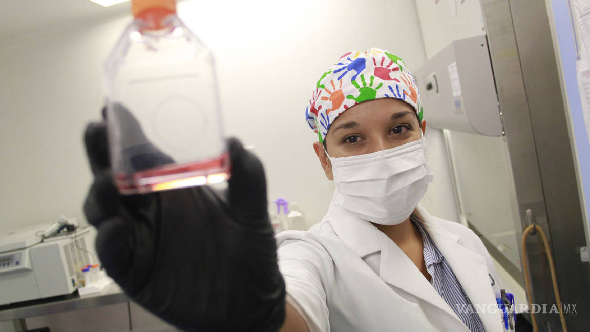 Estudia científica mexicana en células madre dentales viable tratamiento a diabetes