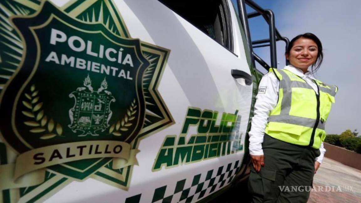 Sólo un caso judicializado en la región por maltrato animal; suman 15 denuncias en 2021