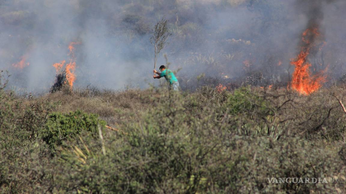 Incendio en Sierra de Zapalinamé de Saltillo alerta a la ciudadanía