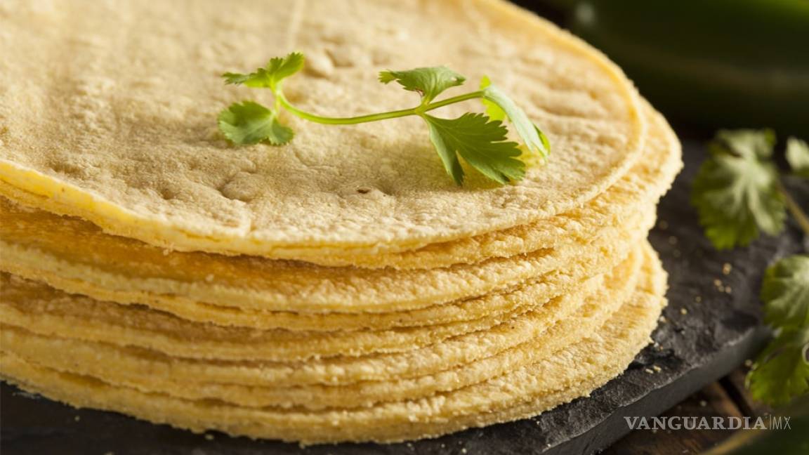 Tortillas de 'oro', el kilo podría aumentar hasta a 60 pesos si se aprueba una ley