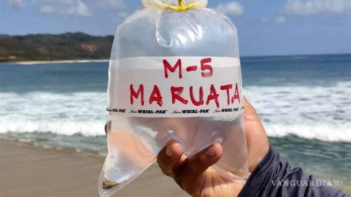 Reportan 14 playas contaminadas con heces fecales en México