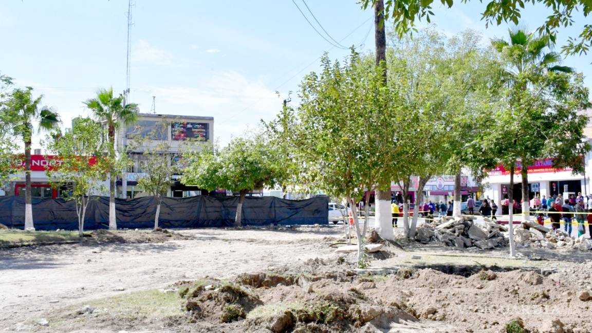 Retiran árboles de la Plaza Principal de Monclova