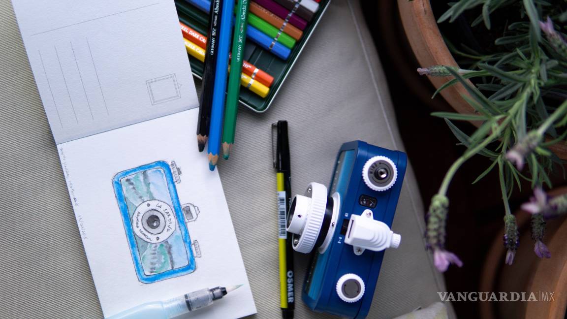 $!¡Duraderas y fáciles de cuidar! Las mejores plantas para decorar el baño, la cocina y hasta la recámara