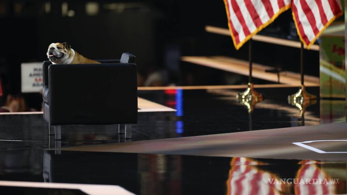 $!El bulldog inglés, Babydog, del gobernador de Virginia Occidental, Jim Justice, en la segunda noche de la Convención Nacional Republicana en Milwaukee-