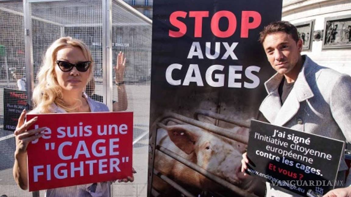 $!Pamela Anderson denuncia maltrato animal desde una jaula