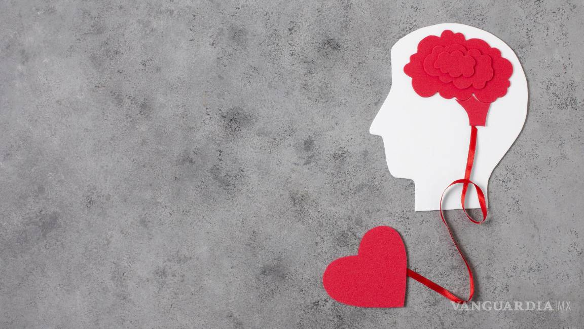 $!Ilustración representativa del amor (corazón) y la mente (cerebro).