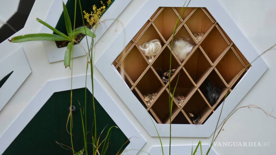 $!Pon a tu casa una piel verde