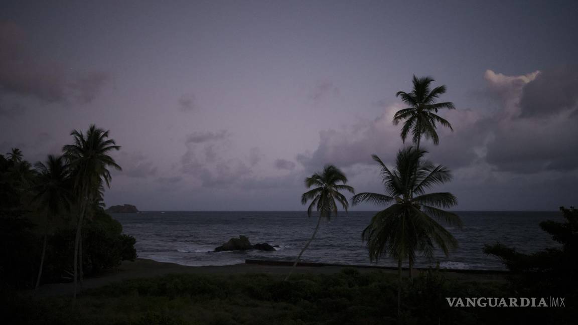 $!Palmeras en una playa en la isla caribeña de Tobago, en Trinidad y Tobago, el 21 de enero de 2022.
