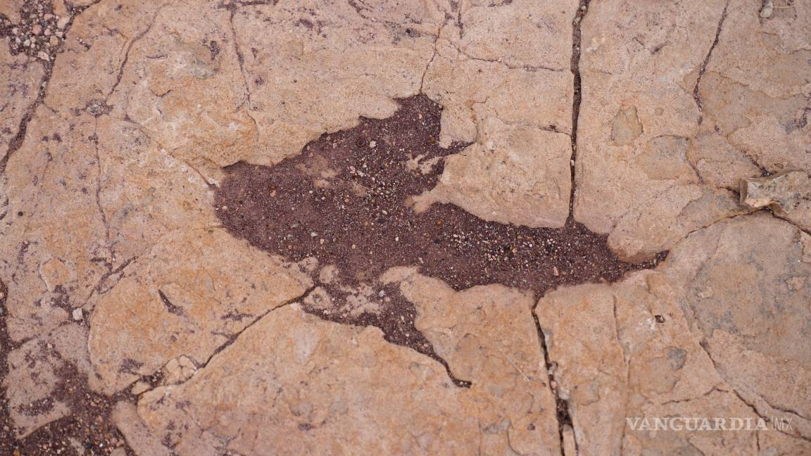 $!Una huella petrificada de un dinosaurio es visible en Carreras Pampa, en el Parque Nacional Toro Toro, al norte de Potosí, Bolivia, el sábado 6 de diciembre de 2025.