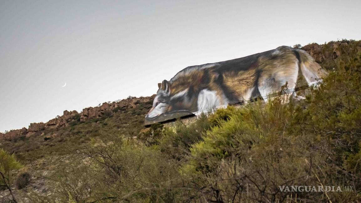 Tripulaczión pinta la naturaleza en el Cerro del Pueblo