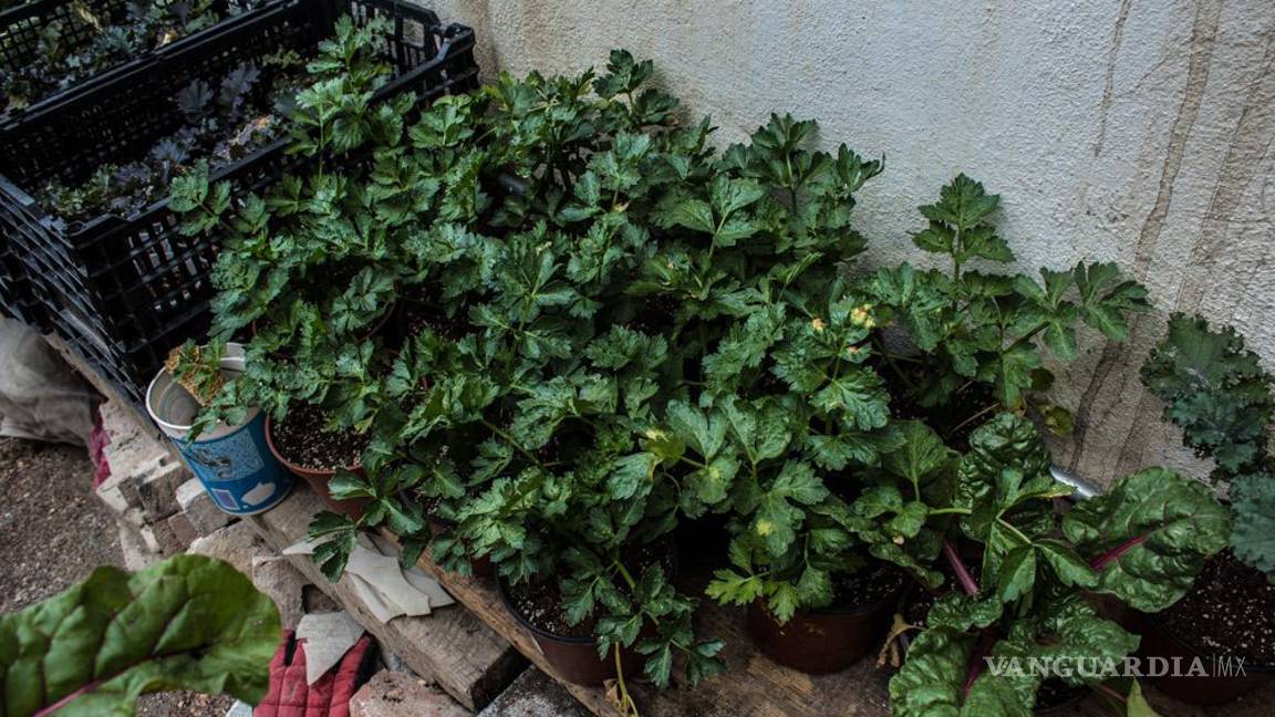 $!Alumnos de la FCC fomentan cultura ecológica