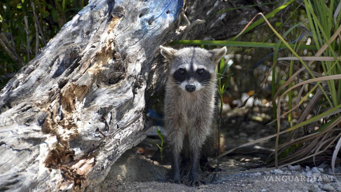 $!Semarnat entrega 163 mdp más para mitigar cambio climático en Tabasco
