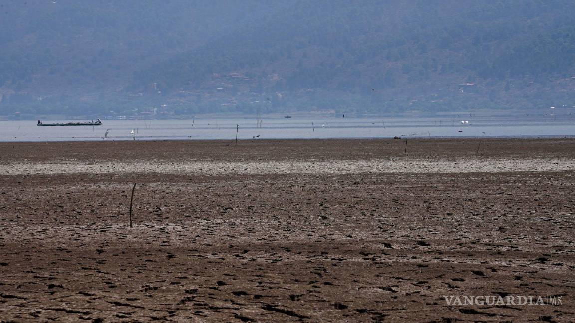 $!El lago de Pátzcuaro enfrenta una sequía nunca vista debido al robo de agua, la deforestación, el descuido histórico y la siembra irregular de aguacates y frutos.