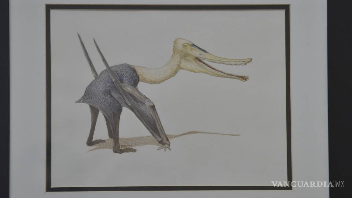 $!Los especialistas advierten que se trata de una especie nueva, de acuerdo con la más reciente edición de la revista alemana Paläontologische Zeitschrift (Revista Paleontológica).