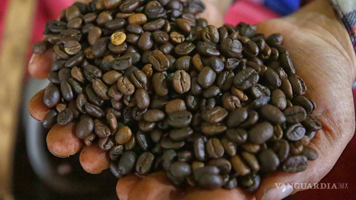 $!La FAO estima que hasta 25 millones de hogares agrícolas en todo el mundo se encargan del 80 % de la producción mundial del café.
