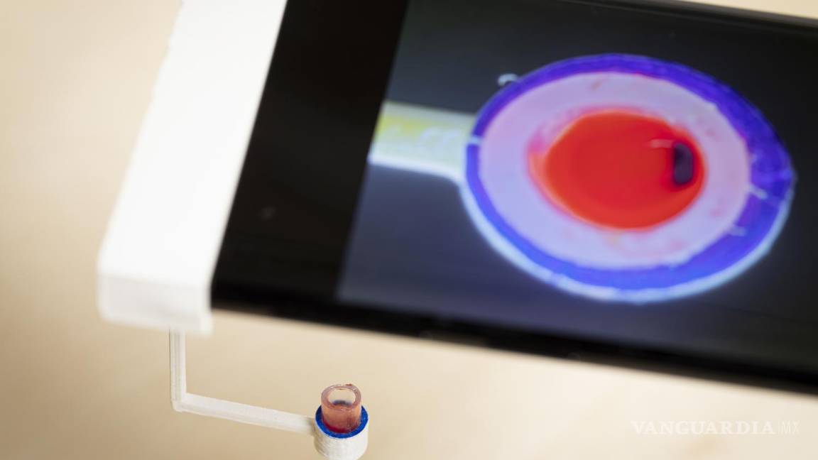 $!El vaso con la sustancia que inicia la coagulación de la sangre ficticia (círculo rojo) y una partícula de cobre (forma azul dentro del círculo rojo) observados en una pantalla.