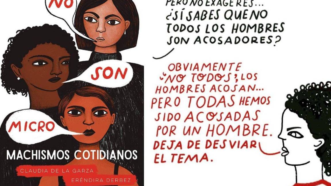 $!El libro además de estar muy bien ilustrado, invita a cuestionarse sobre el daño que el sistema patriarcal produce día a día.