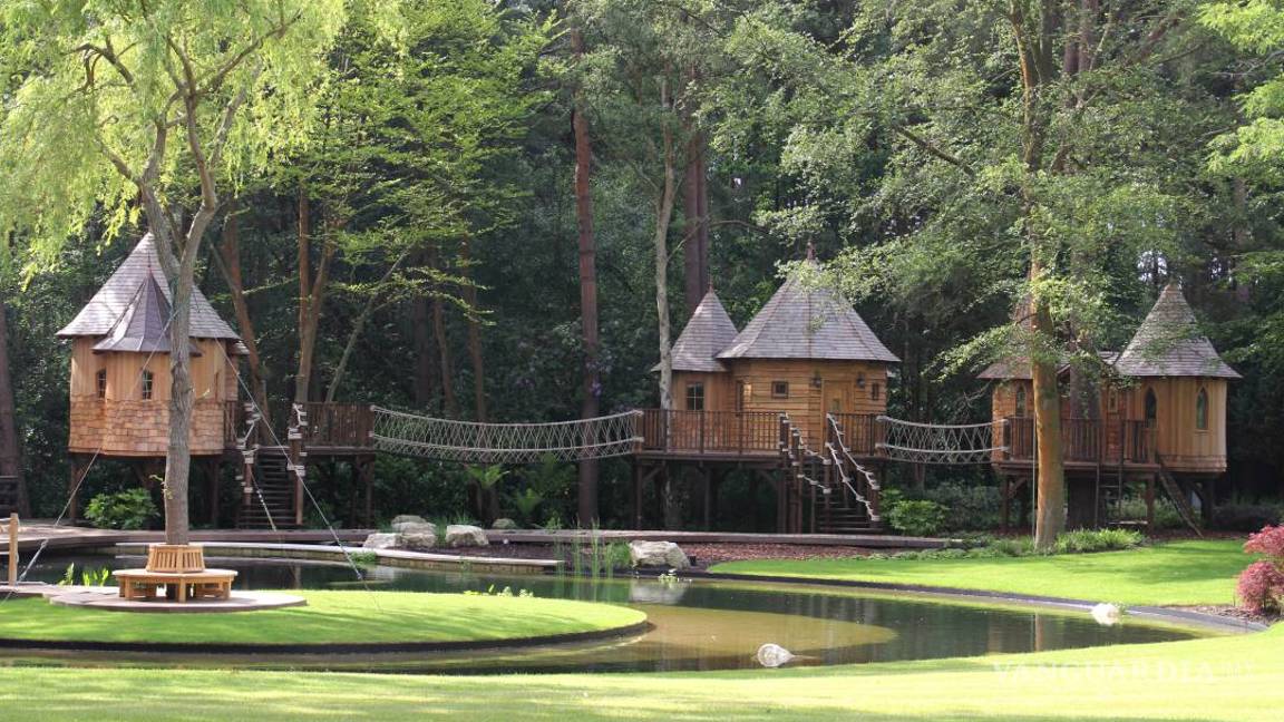 $!Viviendo en un "nido"