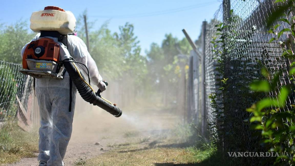 Van 42 muertos por dengue este año y el gobierno no ha comprado insecticidas para evitar más casos
