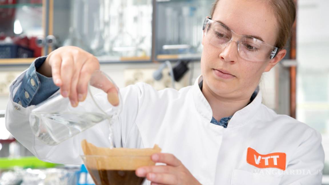 $!Añadiendo agua para el café producido mediante agricultura celular. EFE/VTT