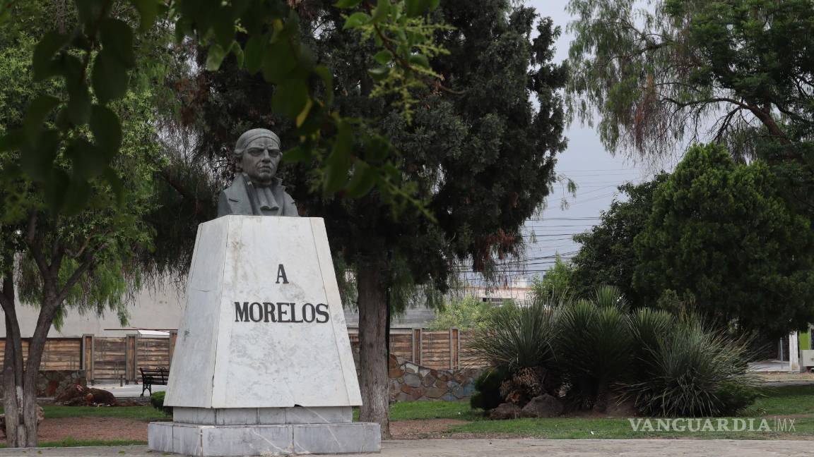 $!Los vecinos contactados por su parte señalaron que sí era necesaria la poda de las palmeras porque representaban un riesgo.