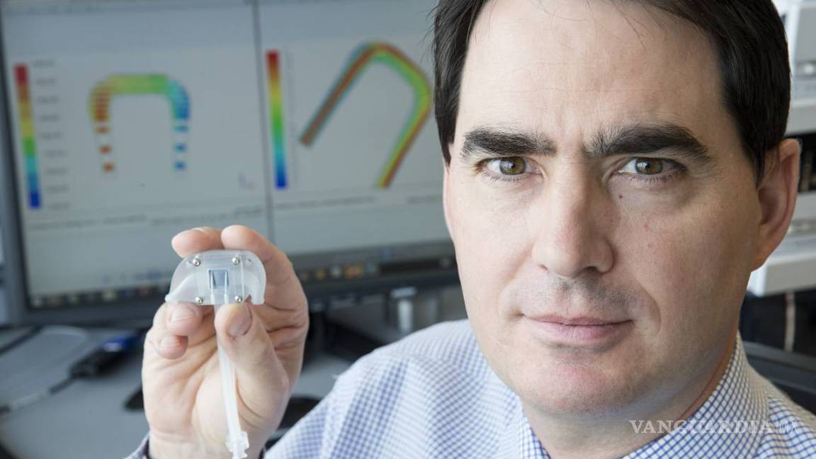 $!Crean un riñón bio artificial