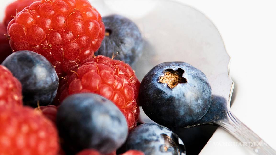 $!Los arándanos, junto con otras frutas rojas como las fresas y las frambuesas, son ricos en vitamina C y antioxidantes.