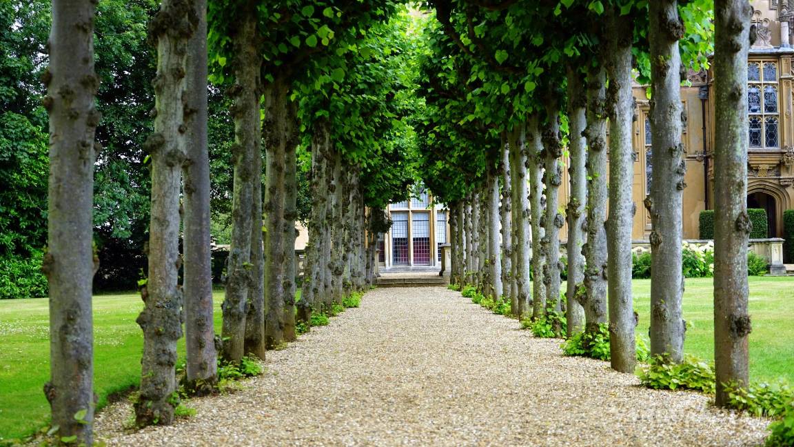 $!Los seres humanos nos hemos dando cuenta de lo importante que es convivir con la naturaleza, ya que somos parte de ella.