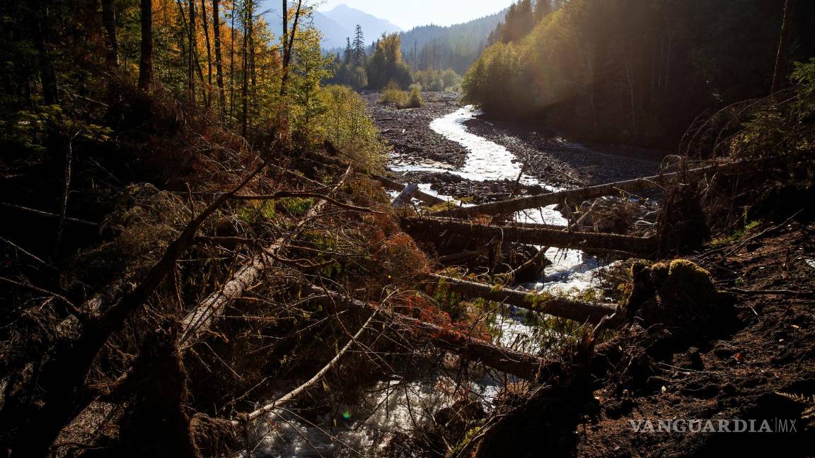 $!Los escombros llenan el lecho del arroyo Kautz Creek debido al aumento de la escorrentía glacial del Monte Rainier en Washington, el 22 de octubre de 2018.