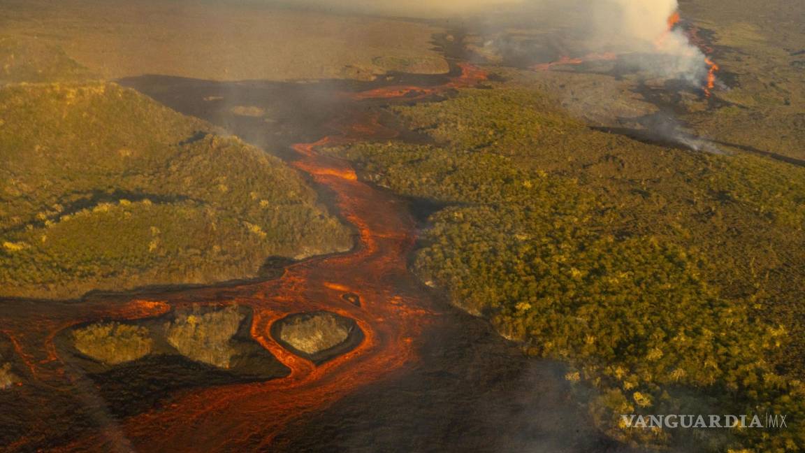 Descartan daño a las especies por erupción volcánica en las Galápagos