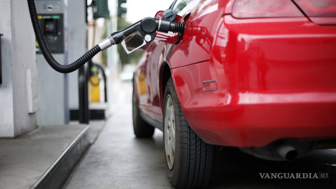 Más de cinco empresas buscan importar gasolinas: Sener