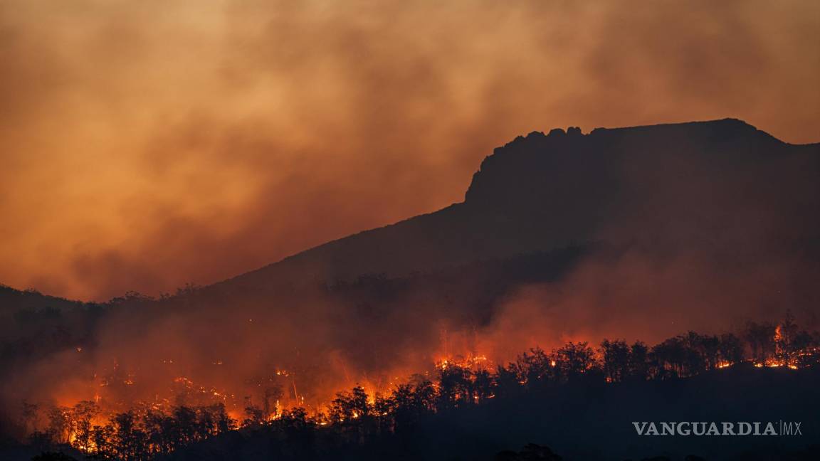 Incendio forestal en Nevado de Toluca va para dos días; es el segundo en marzo 2024