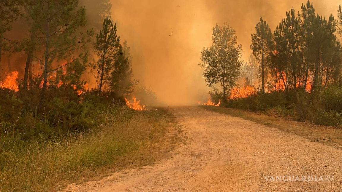 $!Esta foto proporcionada por el cuerpo de bomberos de la región de Gironde (SDIS33) muestra un incendio forestal cerca de Landiras, en el suroeste de Francia.