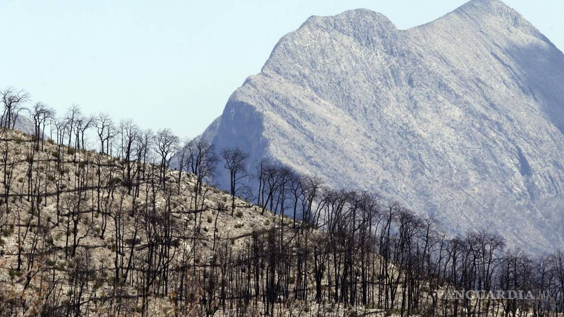 Busca PROPAE de Coahuila reparación del daño por 27.5 mdp en incendio de La Pinalosa en 2021