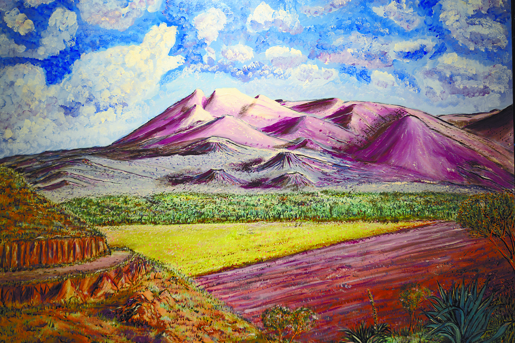 $!Presentan los ‘Colores Imaginarios’ de Pierre Brachet