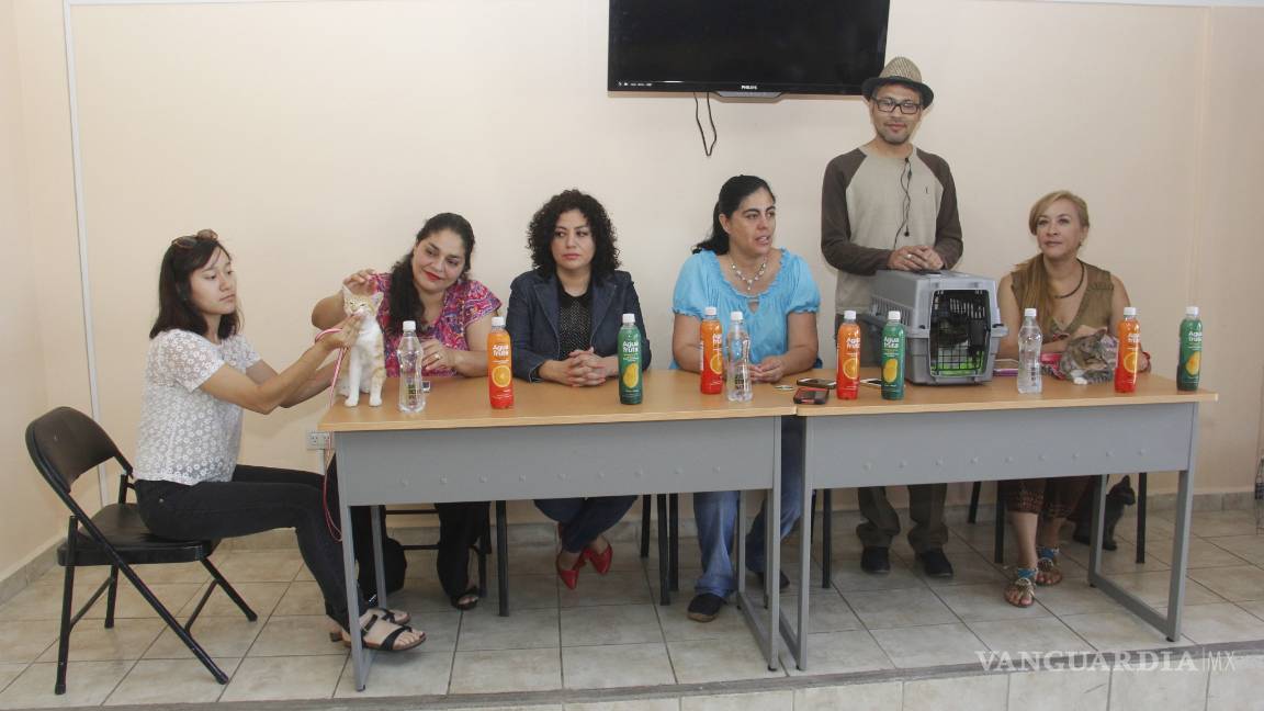 $!Por primera vez llega el Cat Fest 2016 a Saltillo