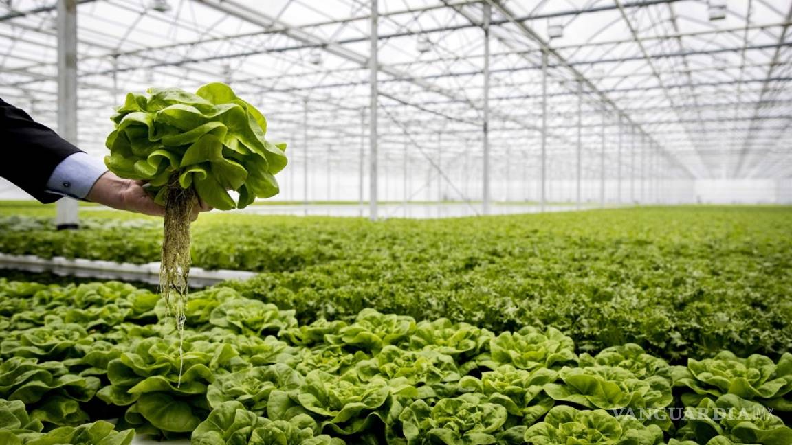 $!El futuro de la agricultura está entre los robots y la biotecnología